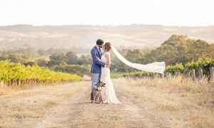 How To Find A Adelaide Photographer For Your Wedding